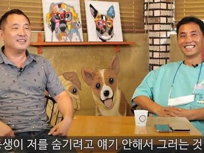 유튜브 시작한 애견훈련사.jpg