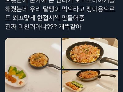 오랜만에 본가에 온 언니가 오코노미야끼를 해줬는데