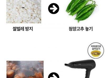 자취생 꿑팁