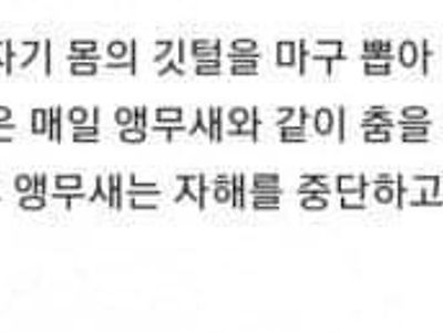 우울증 걸린 애완 앵무새 치료하는 주인...