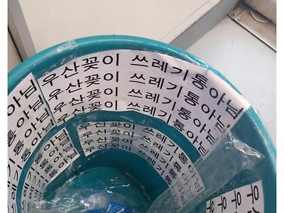 편돌이의 사회실험 결과
