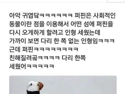 사회성이 무척 강한 새