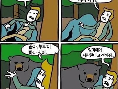 야생에서 곰을 만났을때 생존 방법