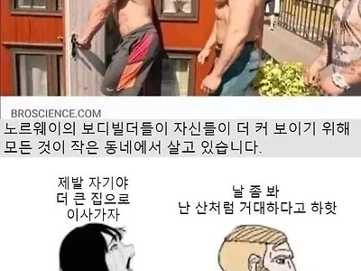 노르웨이 보디빌더들.JPG