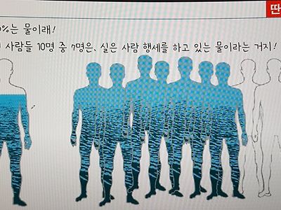 사람은 물로 대부분 이루어져 있다