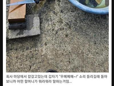 회사에서 칼 갈다가 할머니에게 혼난 썰