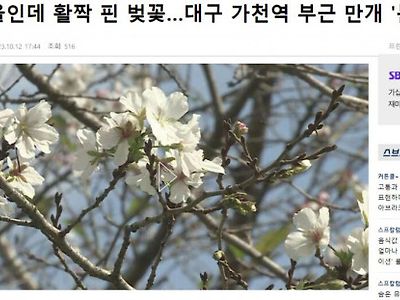 요즘 이상기후