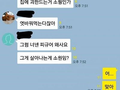 가스총 대체 왜 삼?