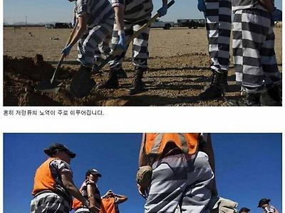 미국 여자 교도소 실상