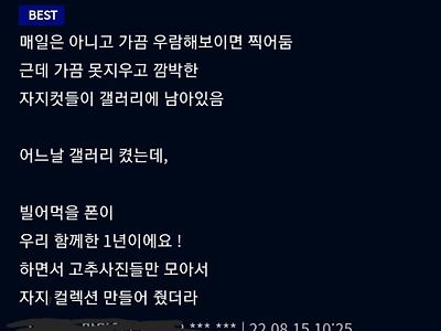 존슨이 크면 생기는 이벤트