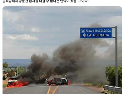 웹툰 고증에 차질이 생긴 이유.jpg