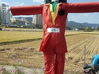 한국에 온 조커