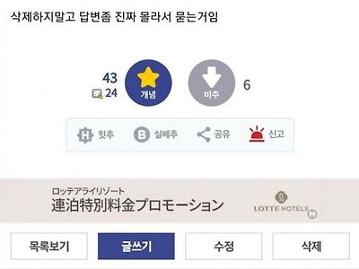 디시인사이드의 현자