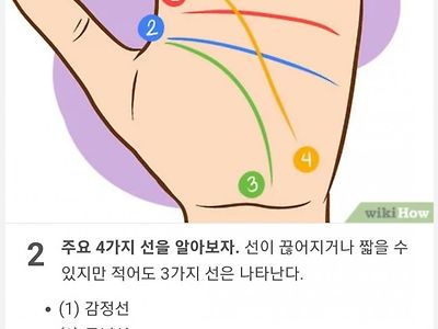 나처럼 손금 없는 사람있음?