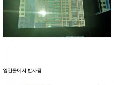 북향인데 햇빛 들어온다