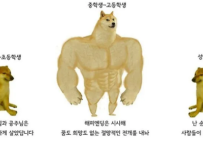 나이대별 해피엔딩 반응