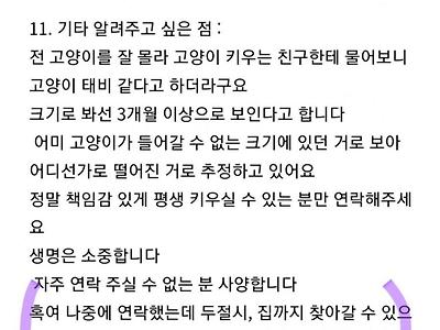 지금 디씨 야옹갤에서 핫한 나락좌ㅋㅋ(댓글포함)