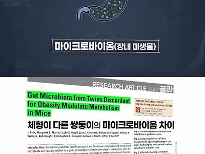 쌍둥이의 체형이 다른 이유