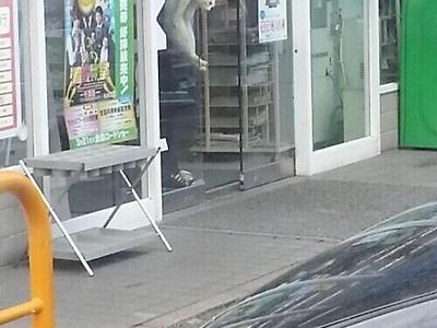 편의점에서 쫓겨나는 캬루