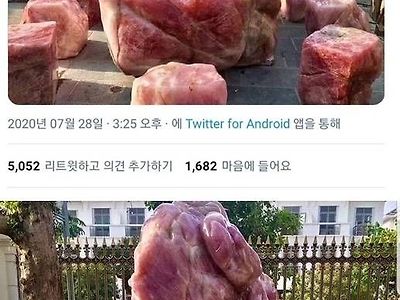 누가봐도 고기