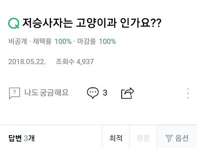 저승사자는 고양이과 인가요..?