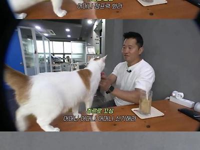 개통령 강형욱의 배신