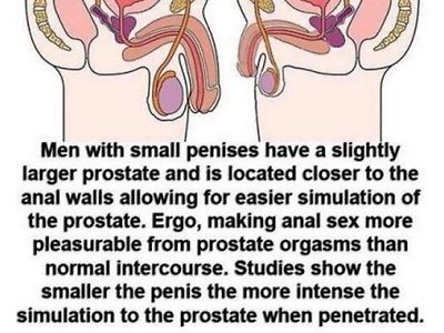 고추 작은 남자의 장점