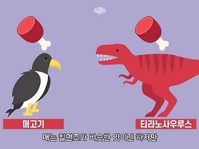 티라노 고기