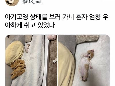 우아한 자태를 뽑내는