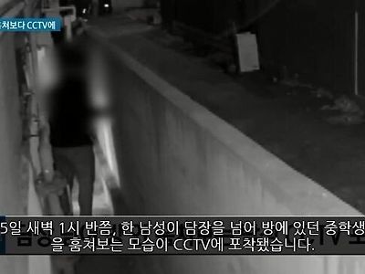 담벼락 cctv에 찍힌 충격적인 장면...gif