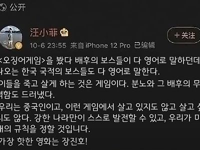 오징어게임을 본 중국인의 반응