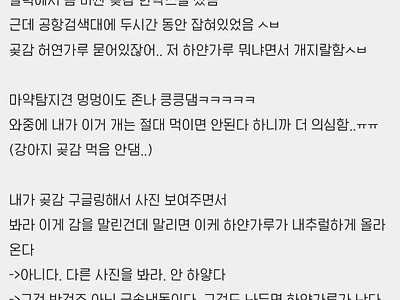 곶감때문에 해외 공항검색대에서 걸린 한국인