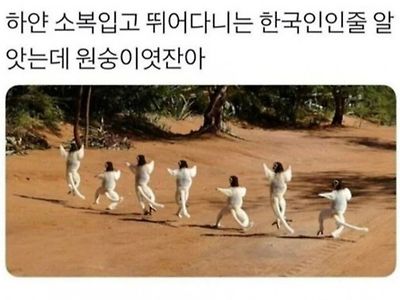 하얀 소복입고 뛰는 한국인 아님