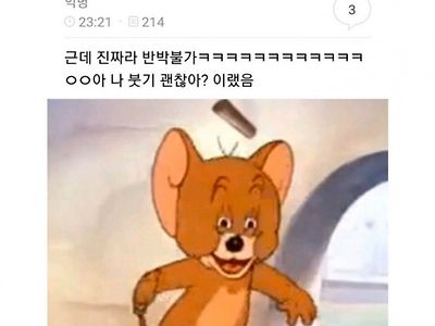 쌍수첫날...?