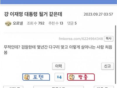 현재 펨코 반응