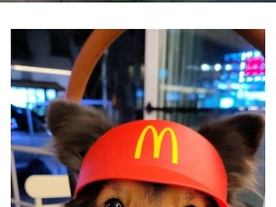 맥도날드 해피밀 장난감 근황.jpg