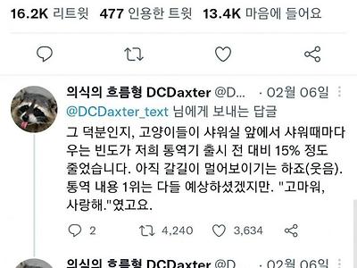 싱글벙글 고양이어 통역기