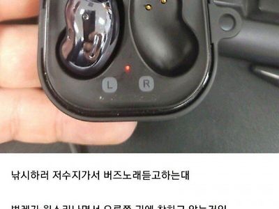 낚시갔다가 버즈 한쪽 잃어버린 남자