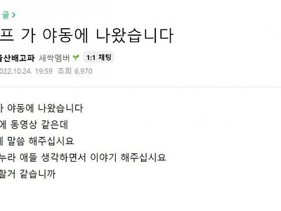 와이프가 야동에 나왔습니다