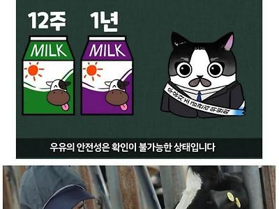 국산 우유 호감도가 작살난 이유