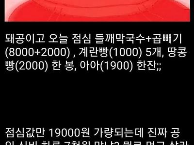 점심값만 19000원 쓴다는 공익