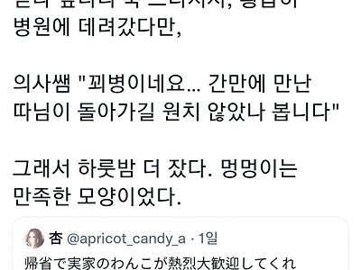 시골집 강아지가 쓰러짐