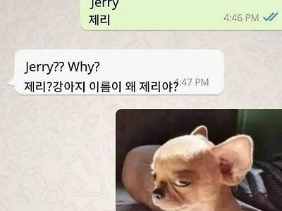 "와! 근데 왜 강아지 이름이 제리야?"