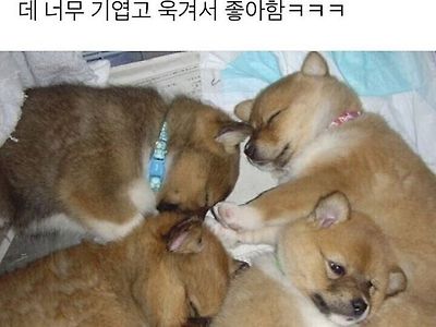 자취방에 친구들 괜히 불렀나.jpg