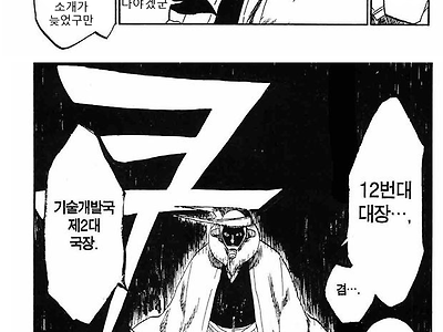 블리치) 왜곡없는 진실짤.jpg