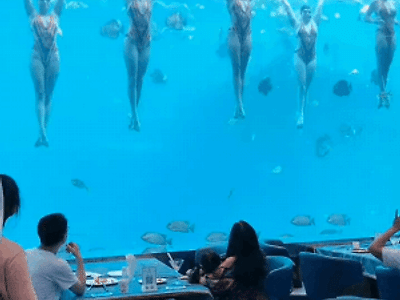 대륙의 고오급 식당