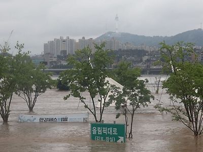 폭우 속 셀프신고한 음주운전자