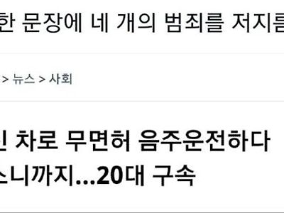 한문장에 네개의 범죄가...