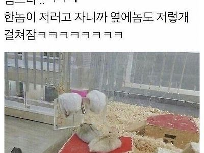 걸치고 자는 중