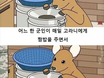 은혜갚은 고라니